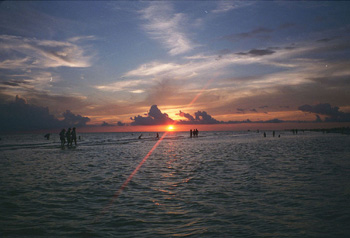 beach.jpg (38337 bytes)
